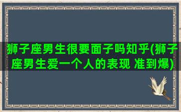 狮子座男生很要面子吗知乎(狮子座男生爱一个人的表现 准到爆)